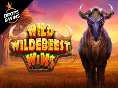 Bodog.com